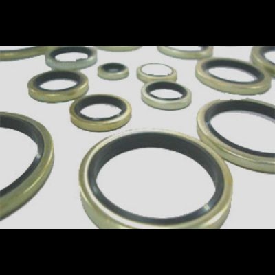 Bonded Seals